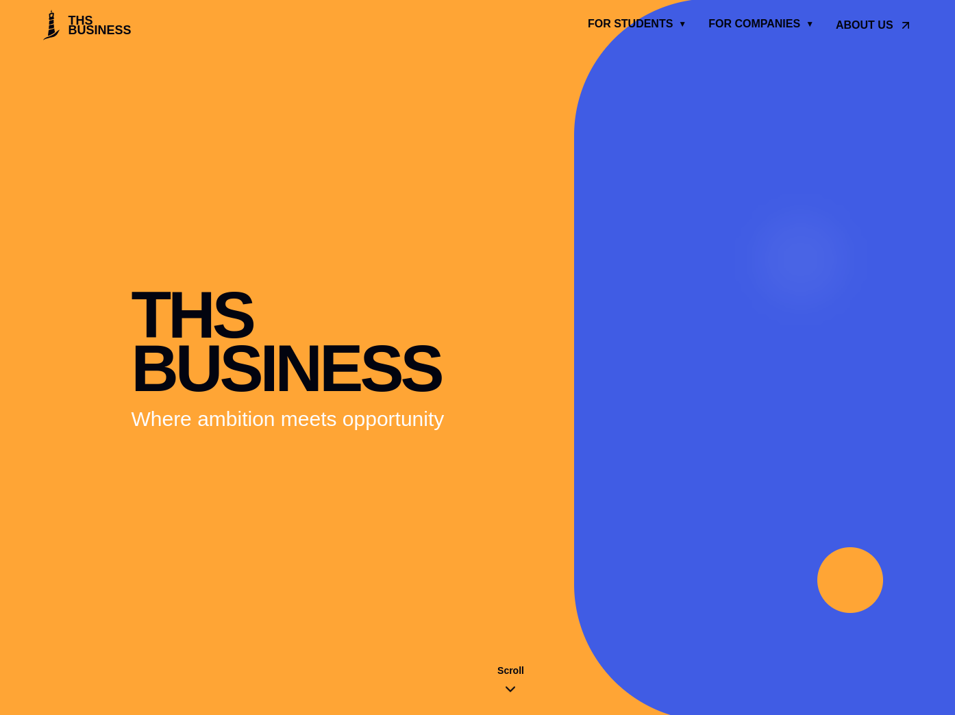 THS Business website design by Ossian